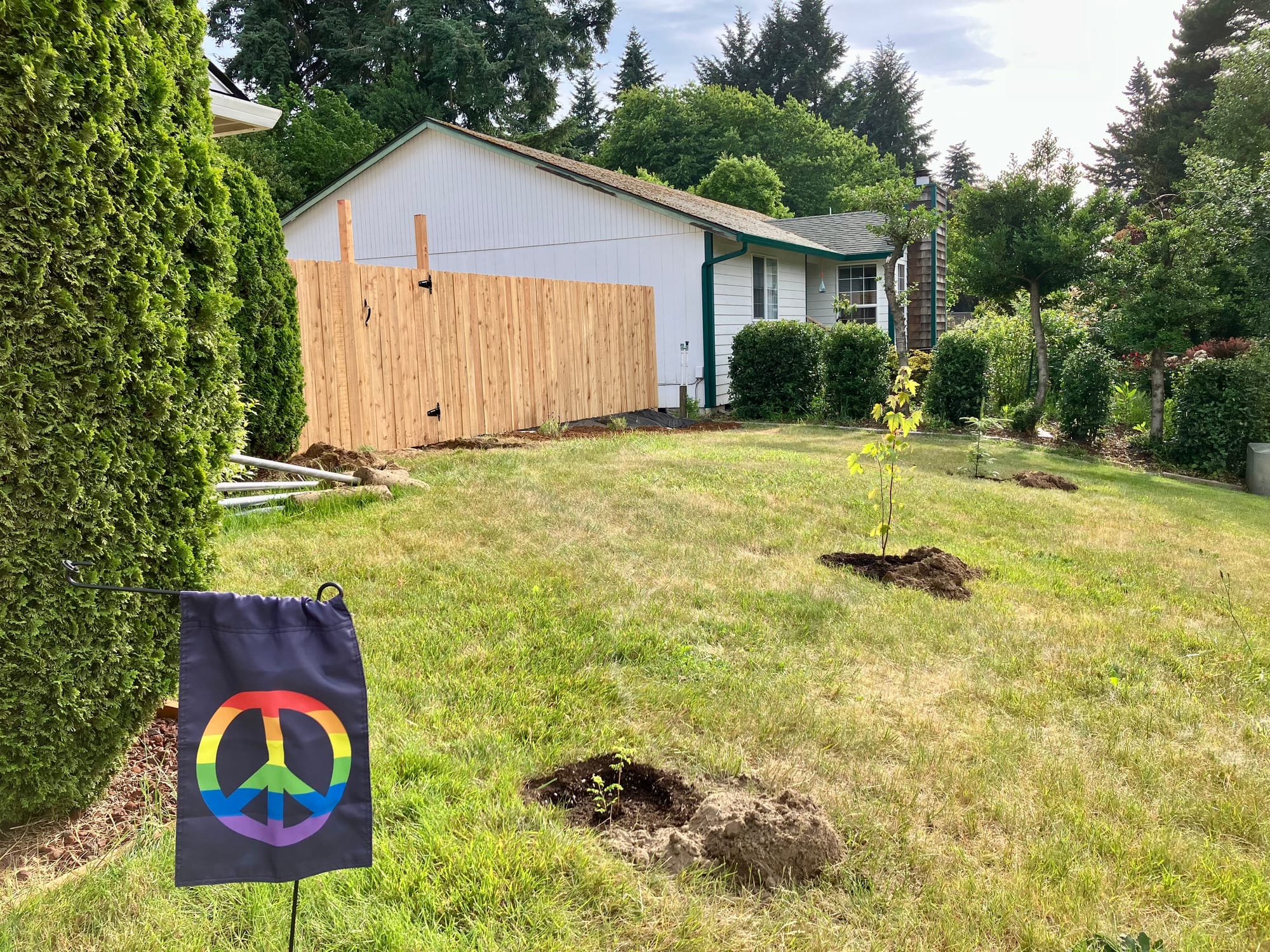 Slopey, sprawling front yard with brand new fence and brand new planted native plants. A small garden flag is in the foreground that has a black background and is of a rainbow colored peace sign.