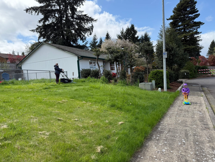Chainlink fence and neighbor's white house in the background, mom with lawnmower on sprawling grass lawn, and child on sidewalk with toy lawnmower.